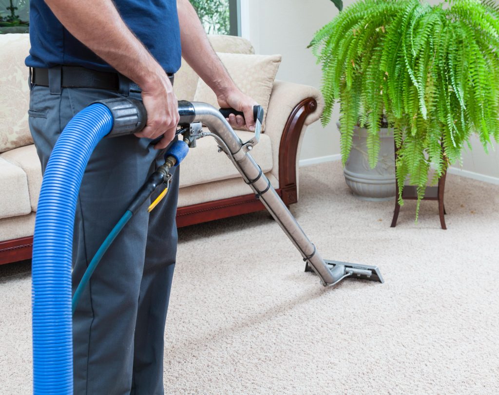 Why Move-Out Carpet Cleaning Is Worth It (Even If You’re Almost Done) 1 WhatsApp Image 2025 09 19 at 12.02.49 AM