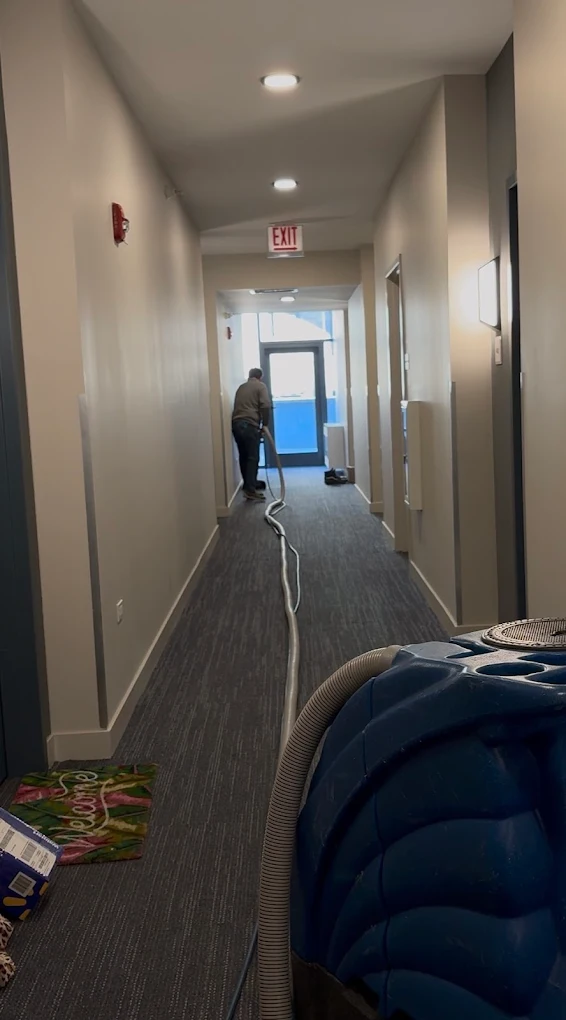 Portable Steam Cleaning 1 Portable carpet cleaning equipment cleaning commercial hallway carpet